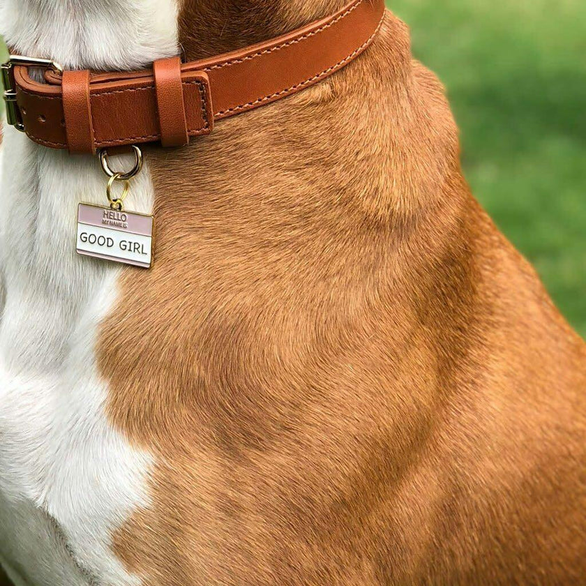 Good Girl Pet ID Tag
