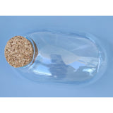 Glass Terrarium: