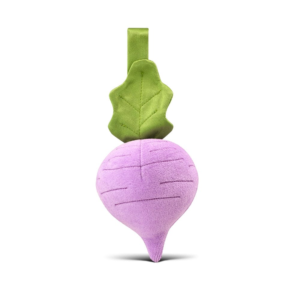 Organic Cotton Fruit & Veggie Stroller Toy