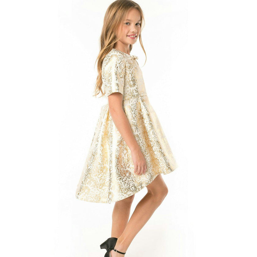 AISA (gold baroque print)