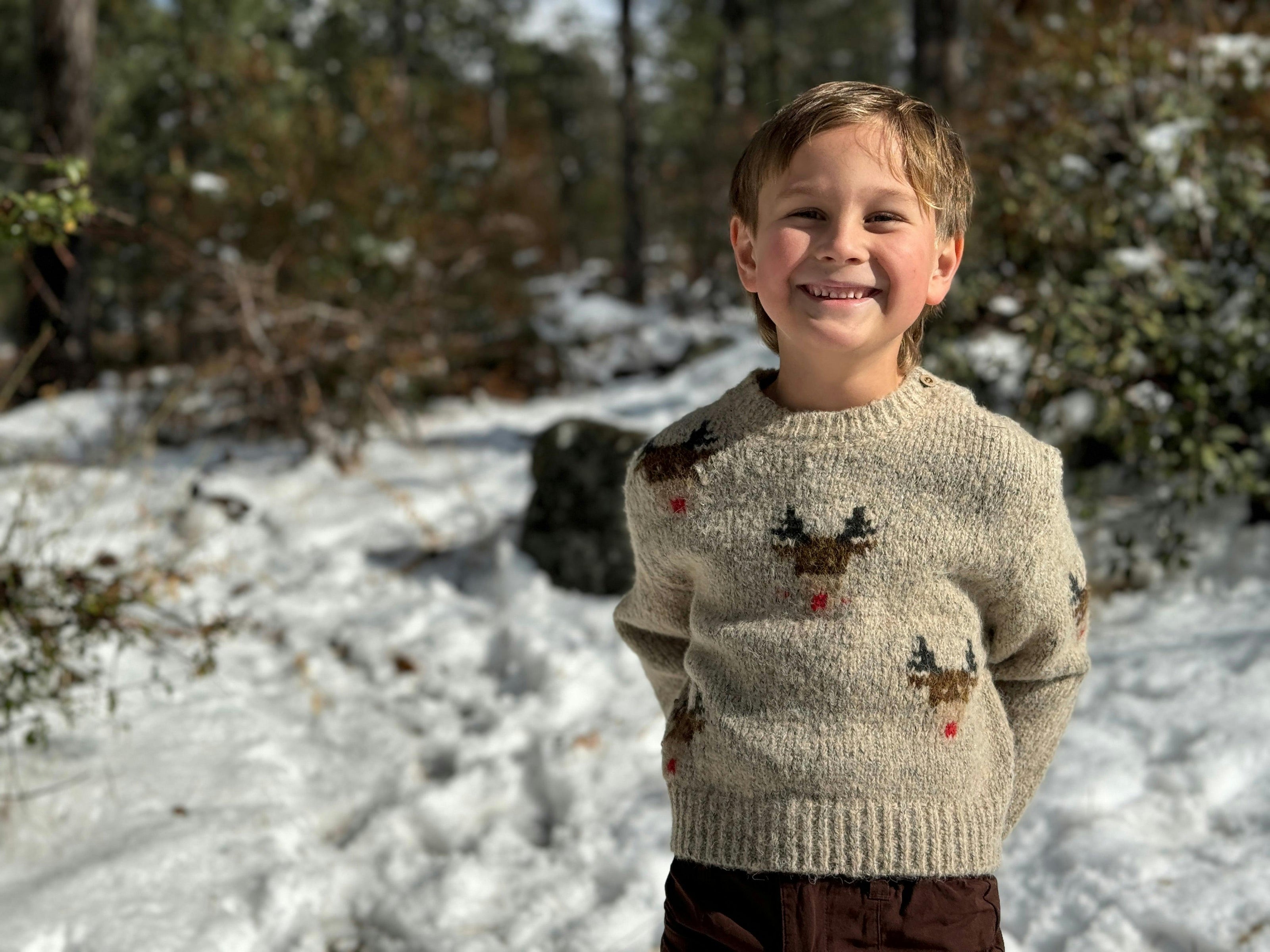 RUDY Beige reindeer Sweater