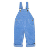 Forget-Me-Not Overalls