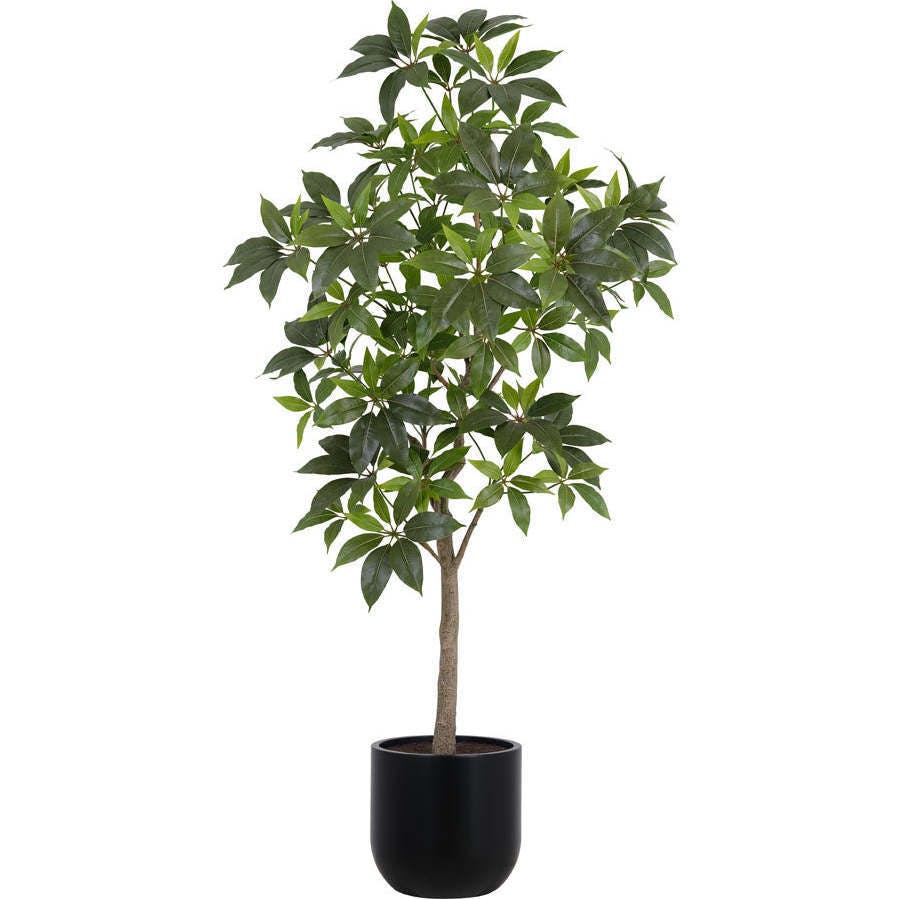 7' Faux Potted Money Tree