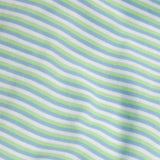 Kari T-Shirt Dress - Greenview Stripe
