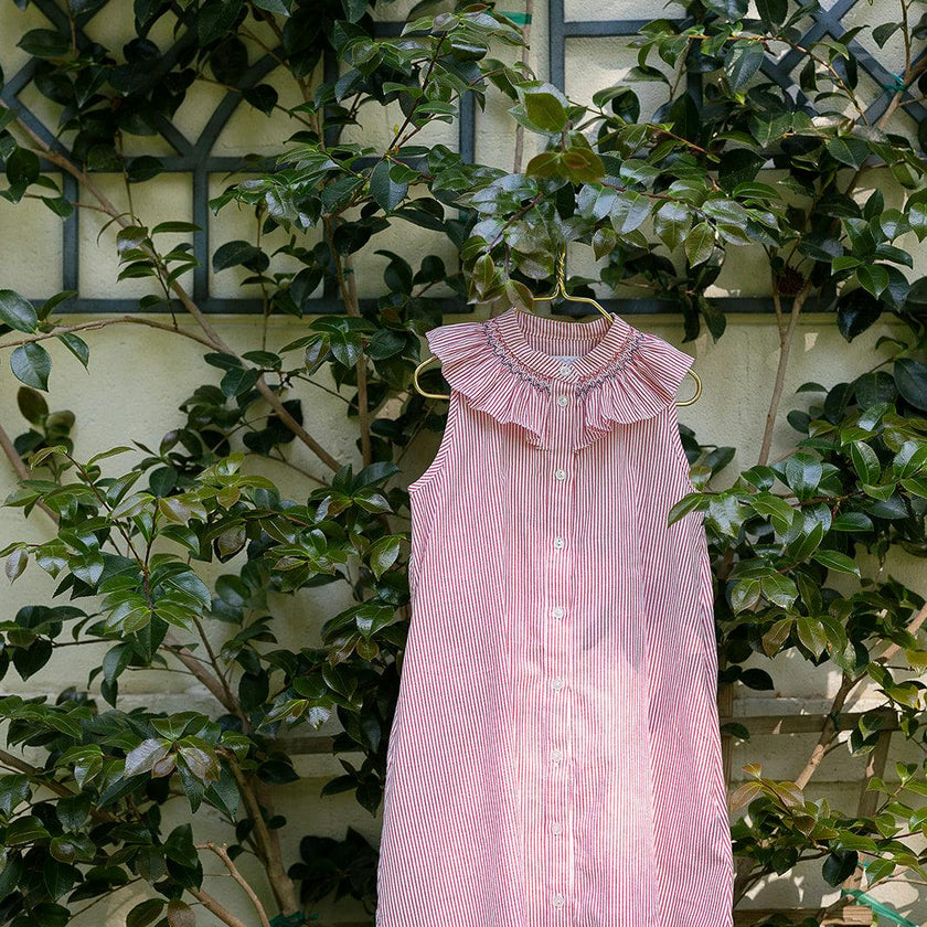 Molly Anne Dress in Red Seersucker