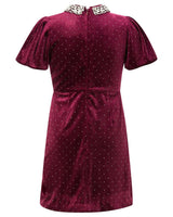 Elisa Velvet Mini Dress