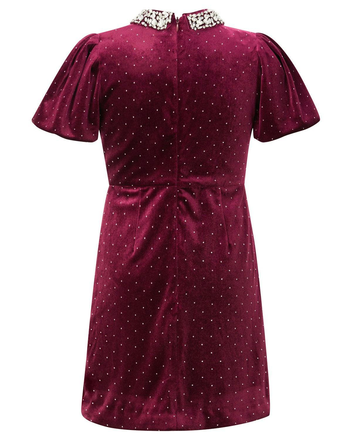 Elisa Velvet Mini Dress