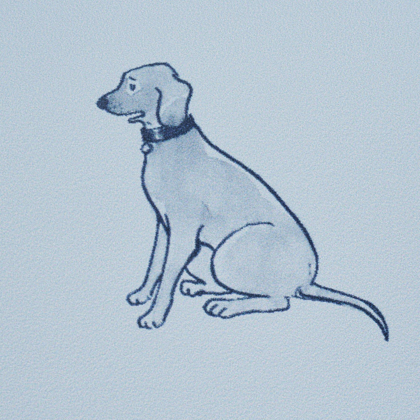 Good Dogs Everywhere Woven Wallpaper