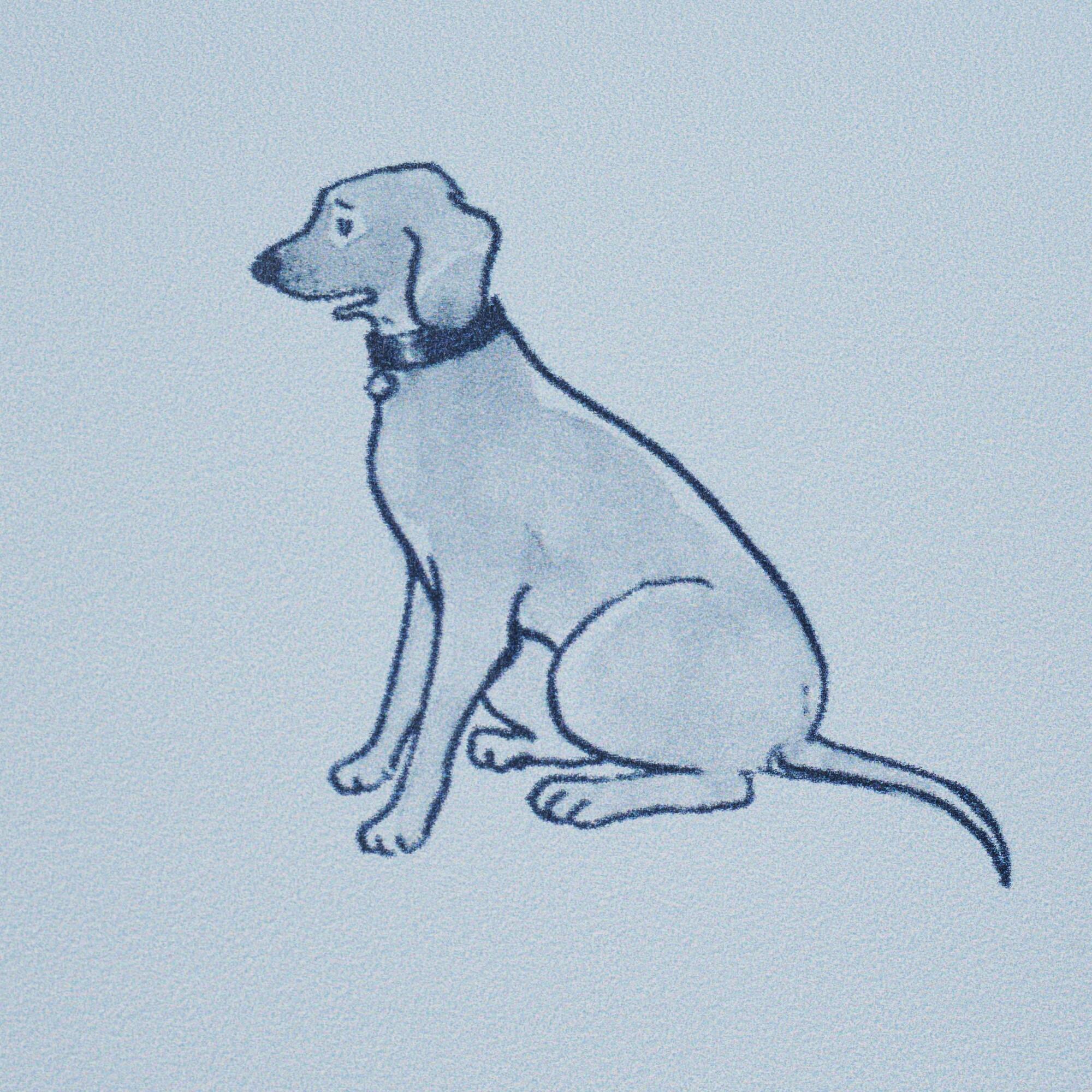 Good Dogs Everywhere Woven Wallpaper