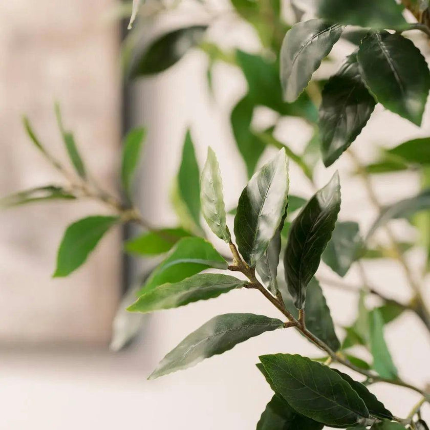 7' Faux Potted Laurel Tree
