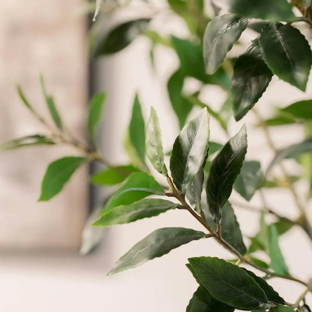 7' Faux Potted Laurel Tree