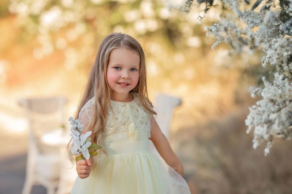 Buttercream Belle Dress