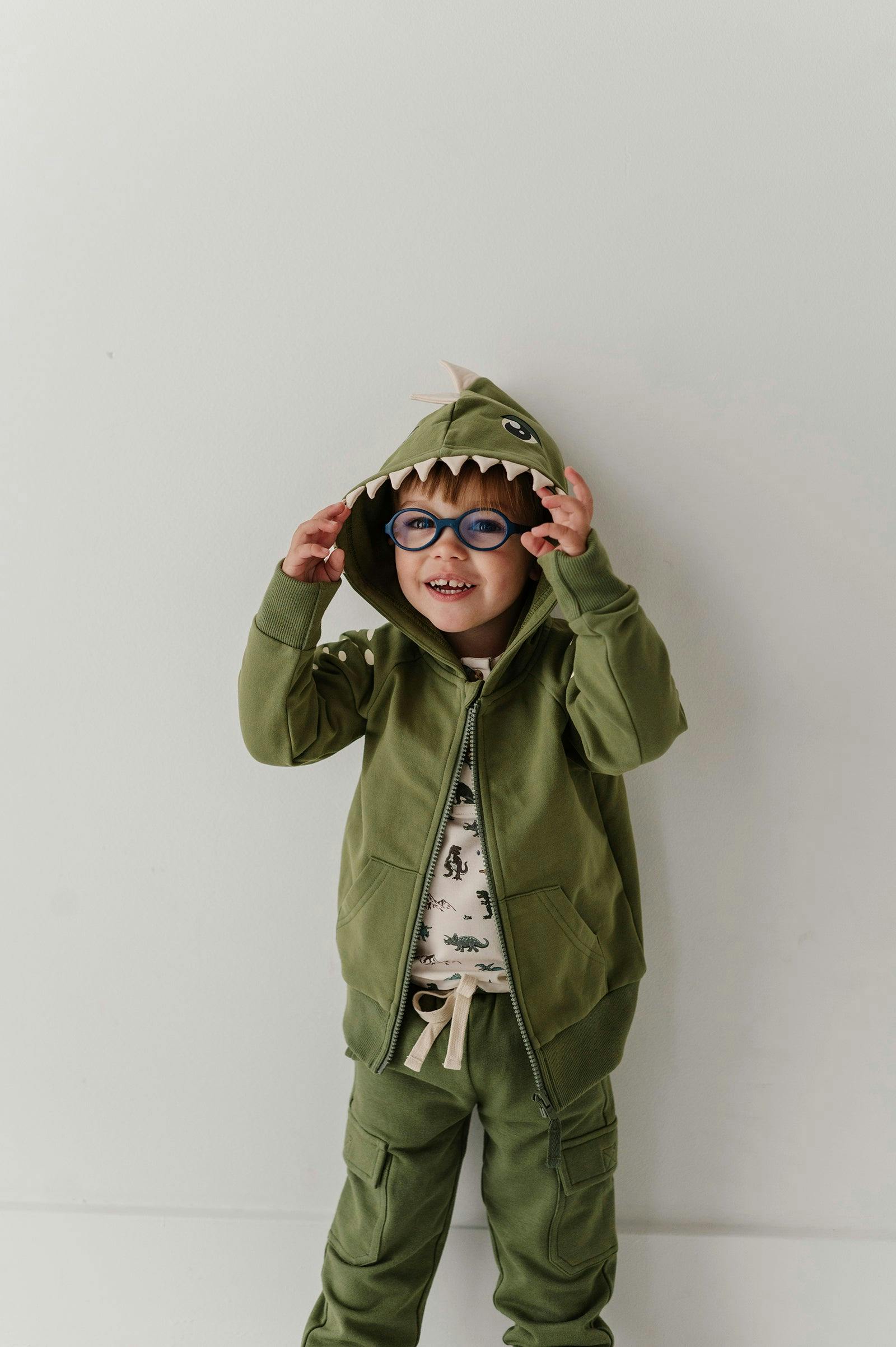 Boys Hooded Jacket in Dinosaur