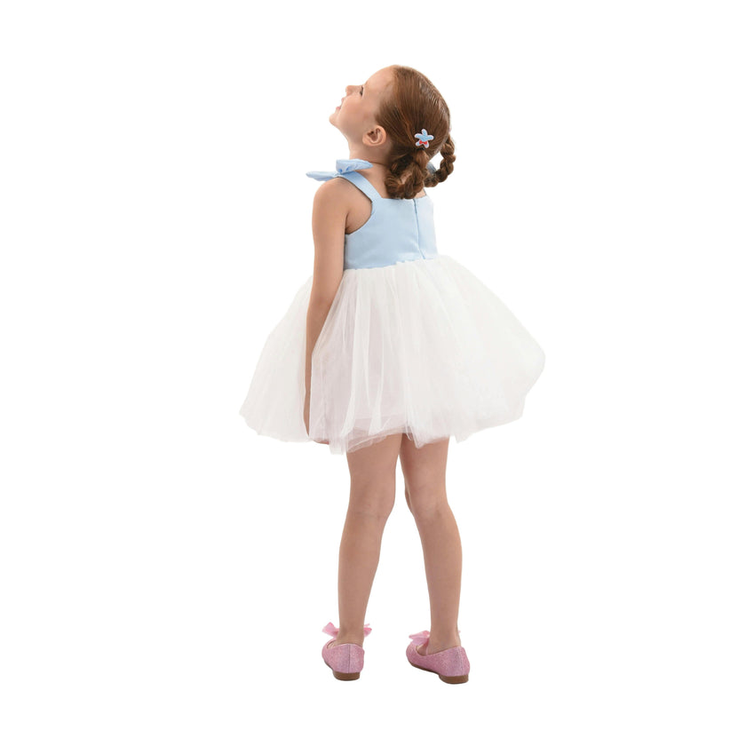 Light Blue Bodice Dress with White Tulle Skirt