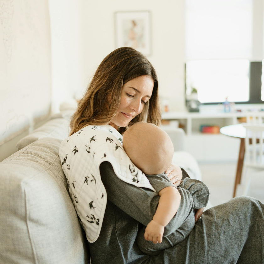 Organic Cotton Muslin Burp Cloth 2 Pack - Swallows + Wheat