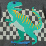 Graphic Sweater | Skateboard Dino