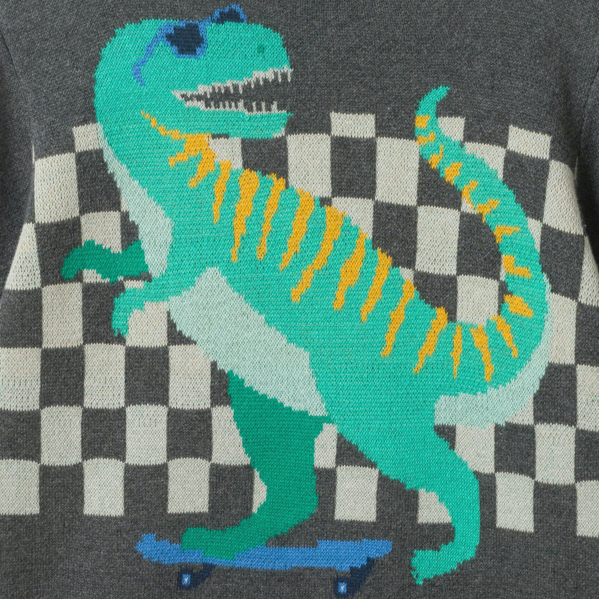 Graphic Sweater | Skateboard Dino