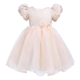 Champagne D'Amico Floral Teacup Dress