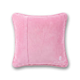 Filthy Animal Needlepoint Pillow