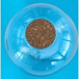 Glass Terrarium: 4" With Cork & 3 LEDs - 2 Pack