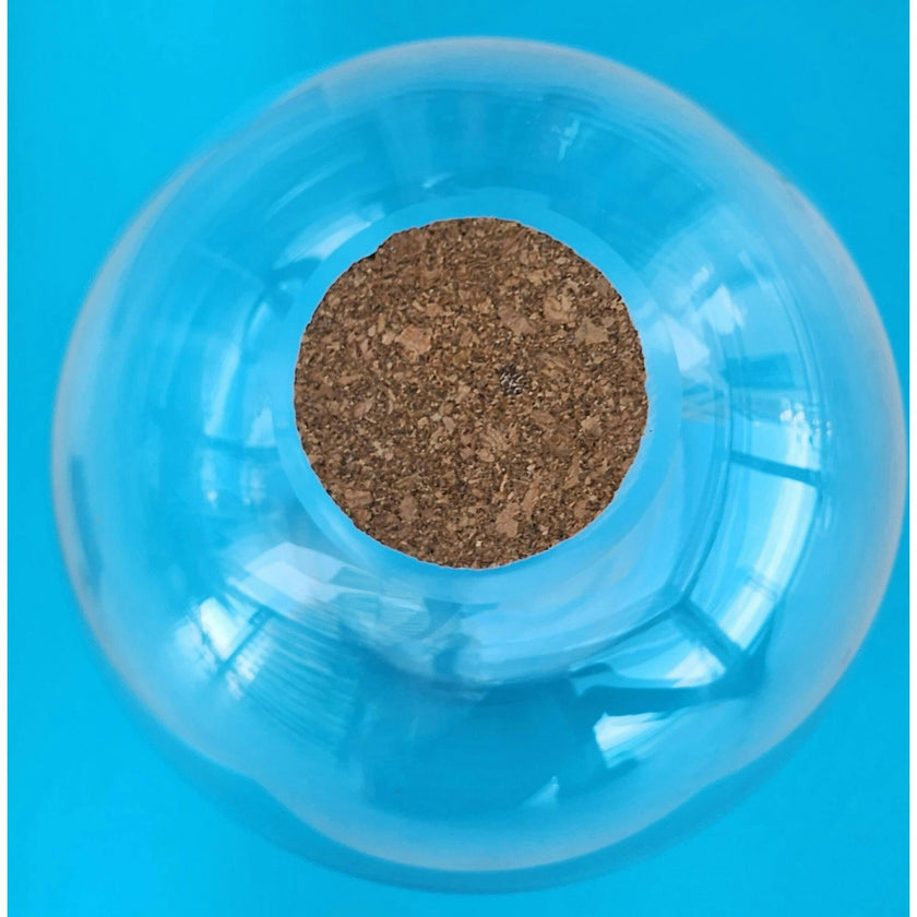 Glass Terrarium: 4" With Cork & 3 LEDs - 2 Pack