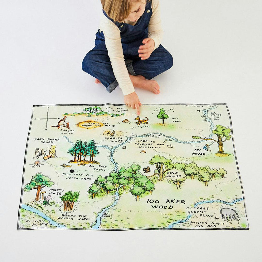 Sarah's Silks 100 Aker Woods Seek & Find Playsilk for Maisonette