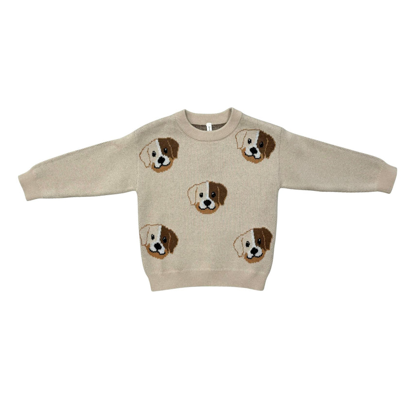 Boys Knit Sweater in Puppies