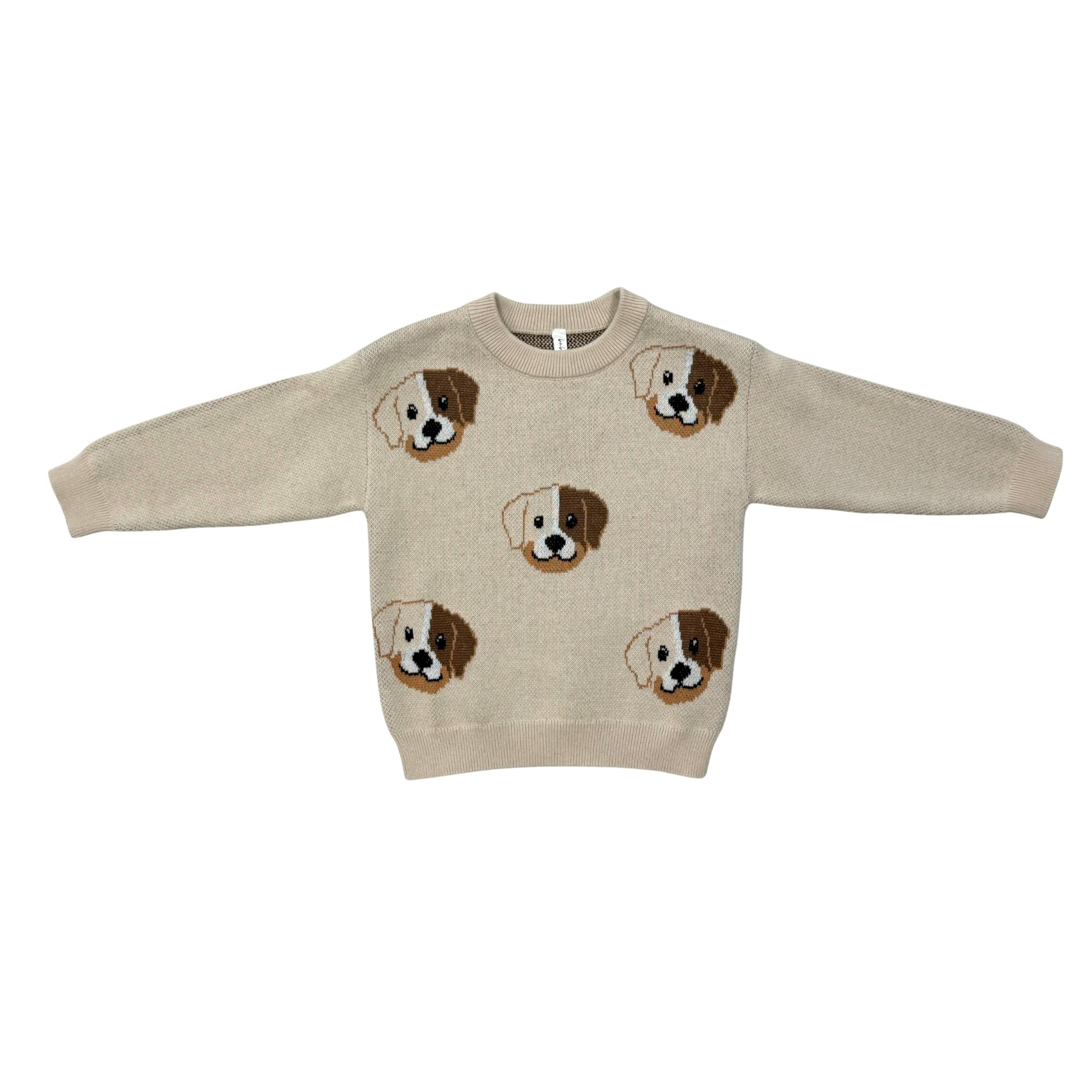 Boys Knit Sweater in Puppies