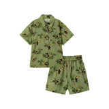 Collar Button-Up Shirt and Shorts Set