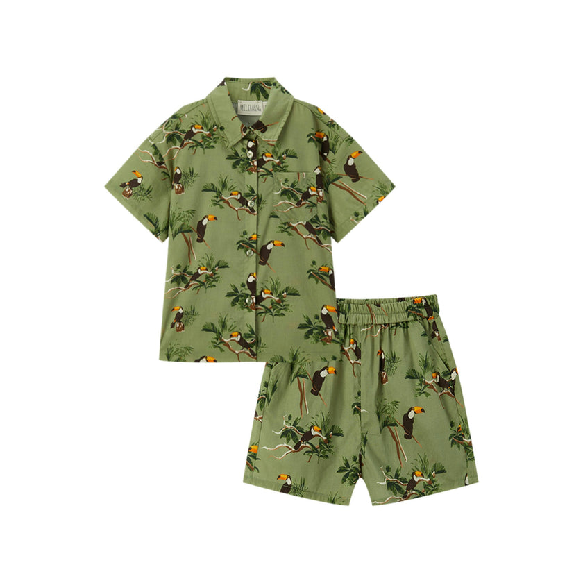 Collar Button-Up Shirt and Shorts Set
