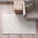 Homy Velvet Flat Woven Dotted Fringed Rectangular Rug
