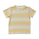 Boy's Short Sleeve Tee in Multi Stripe