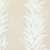 White Lotus Wallpaper