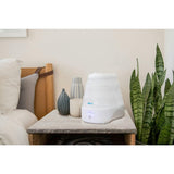 HALLS® Collapsible Cool Mist Humidifier
