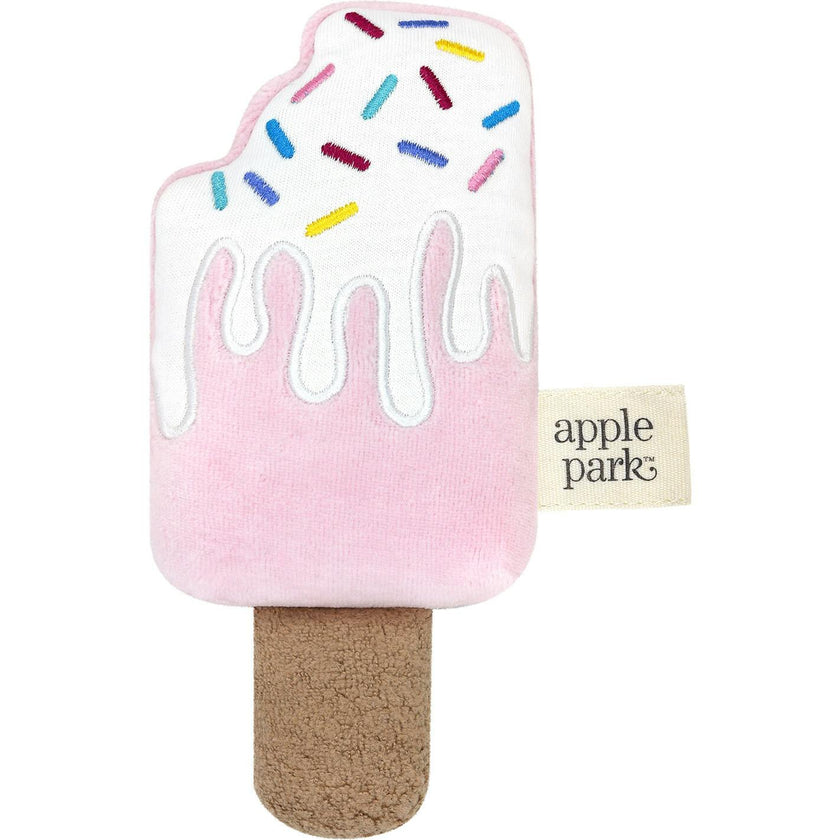 Popsicle Rattle