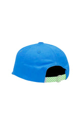 T-Rex Dinosaur Baseball Hat