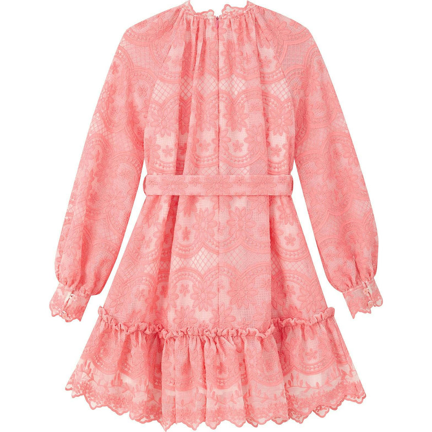 Kaia Lace Embroidered Mini Dress