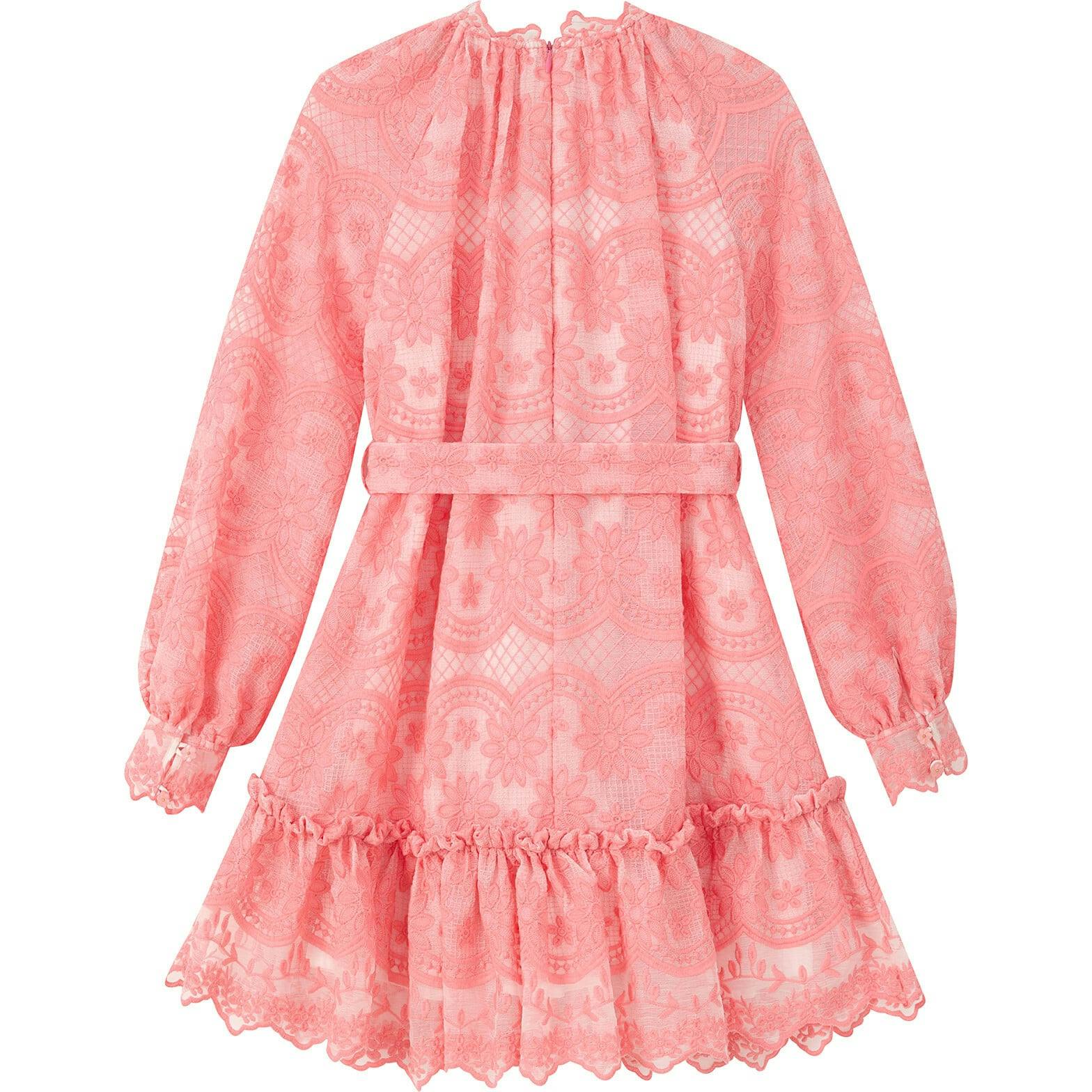 Kaia Lace Embroidered Mini Dress