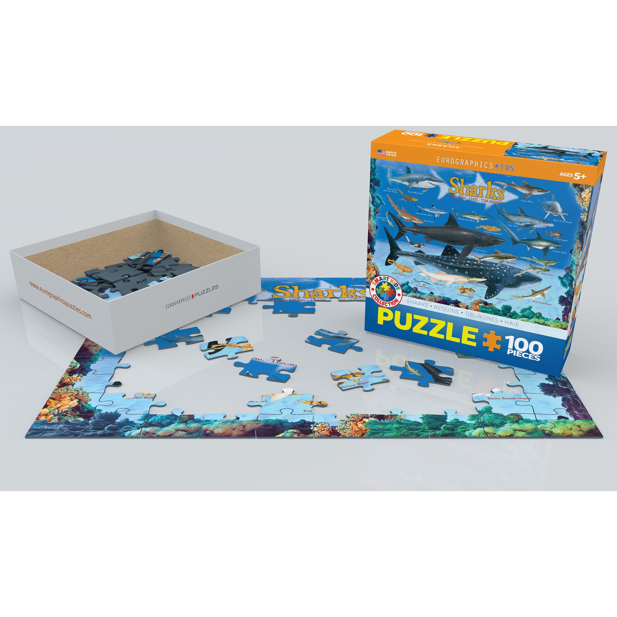 Smart Kids: Chart - 100 pc Puzzle