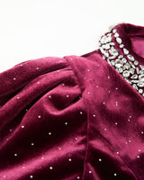 Elisa Velvet Mini Dress