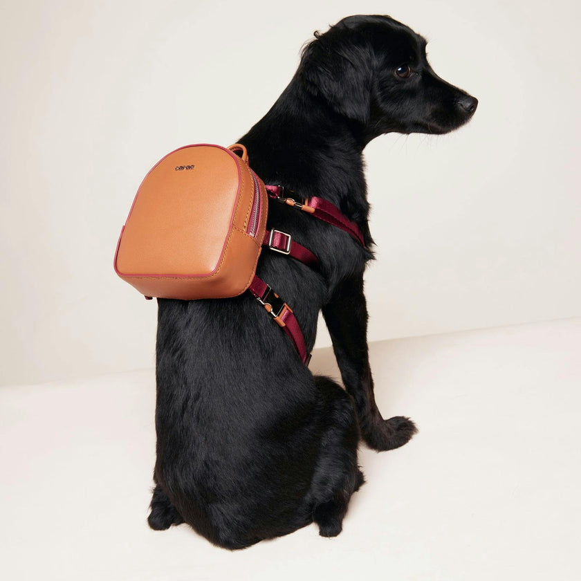 Dog Backpack