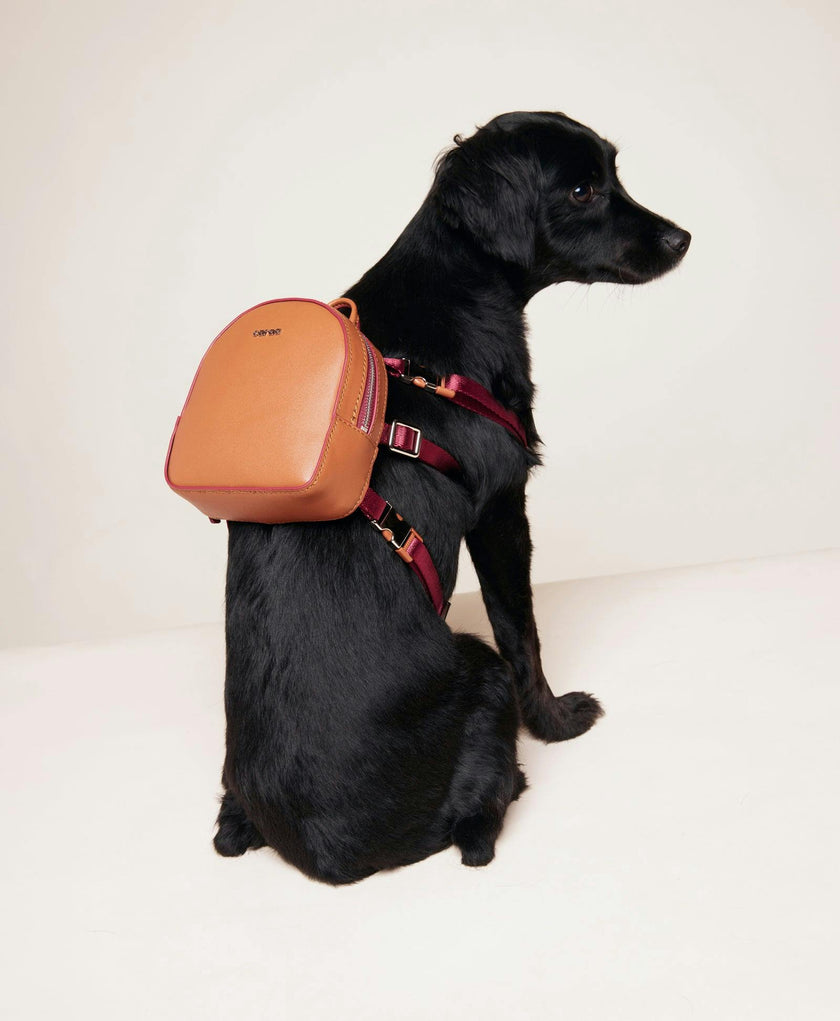 Dog Backpack