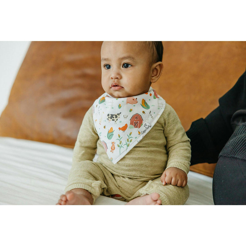 Farmstead Bandana Bibs
