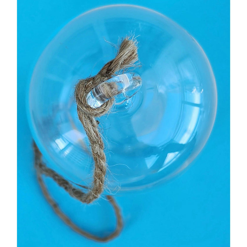 Glass Terrarium: Carefree Capsule - 2 Pack