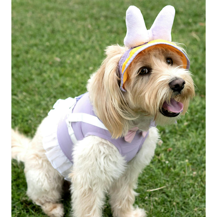 Disney Daisy Uv Hat