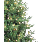 6-Foot Pre-Lit Clear Incandescent Jackson Pine Tree