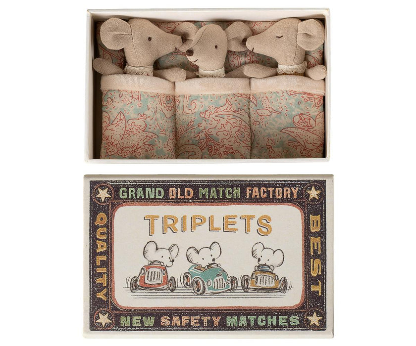 Triplets, Baby mice in matchbox