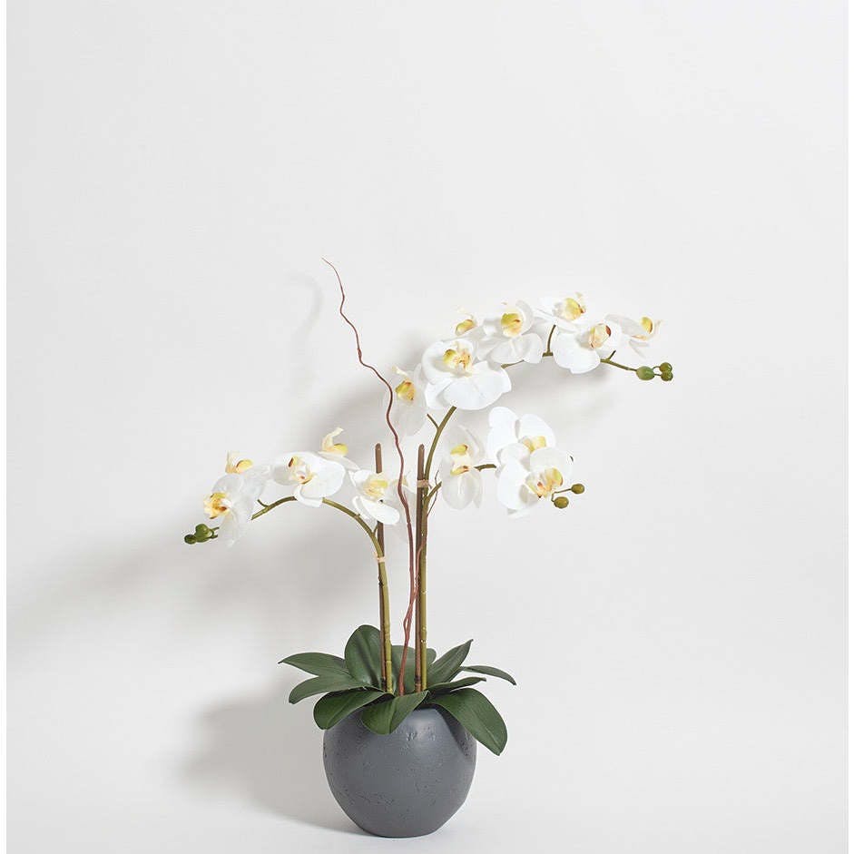 Artificial White Double Stem Orchid