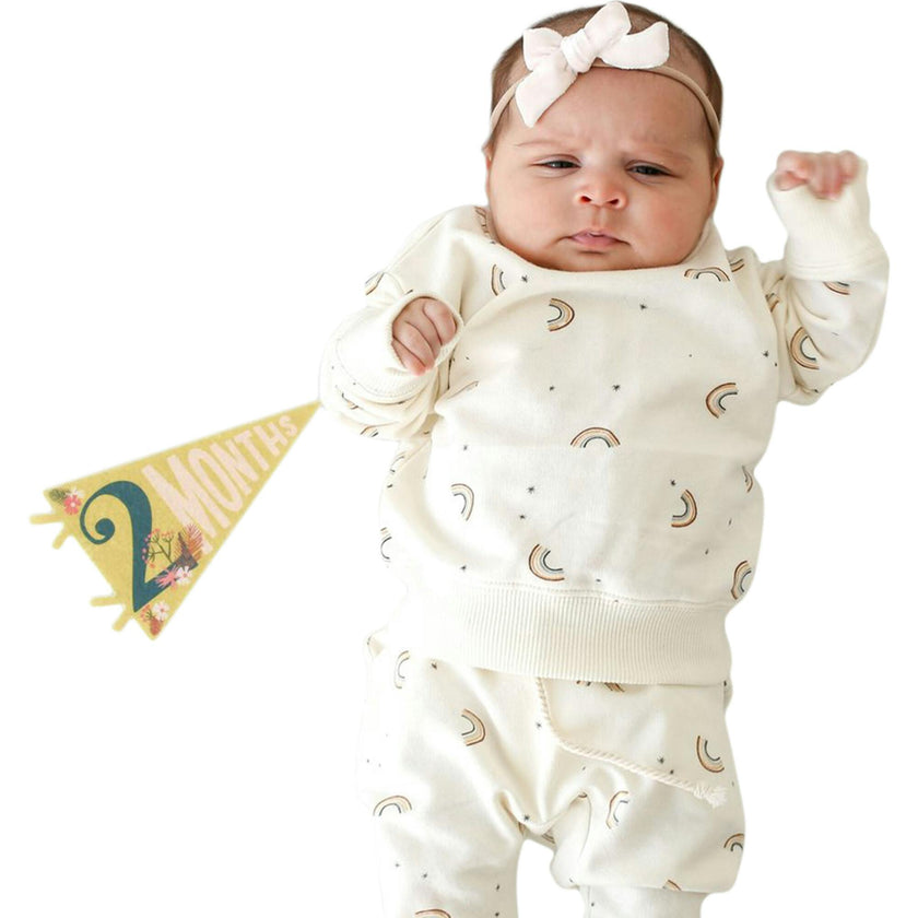 Little Artist Petit Milestone Pennants