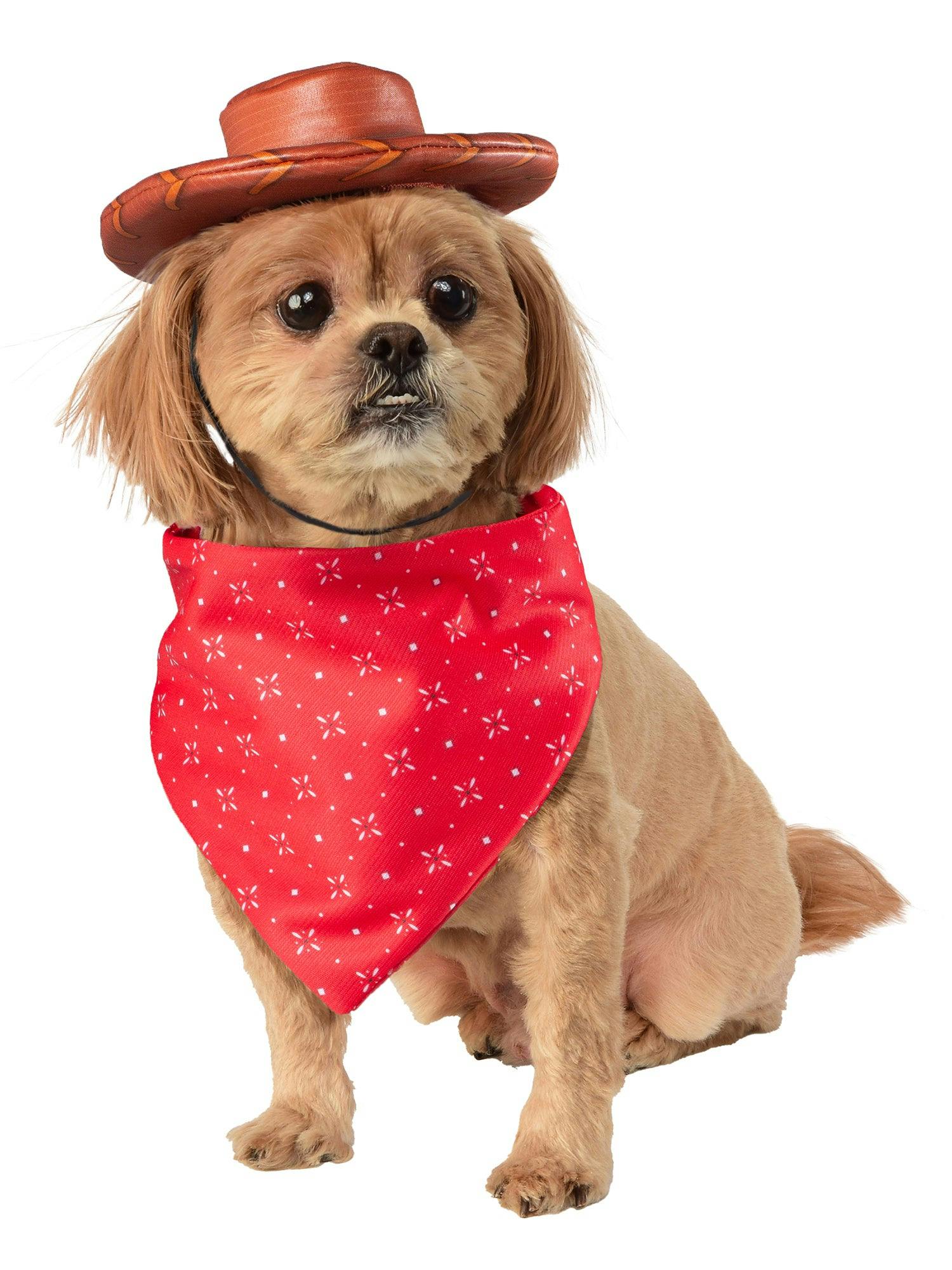 Toy Story Woody Pet Headpiece, Bandana and Forky Toy
